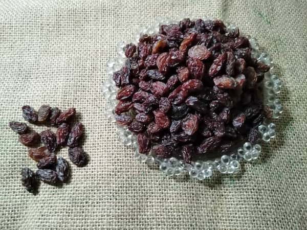 تصویر 4 از قیمت خرید کشمش فخری اعلا + فروش ویژه